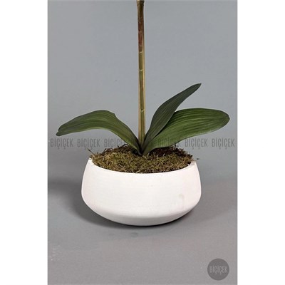 Biçiçek Yapay Çiçek Dekoratif Beton Saksıda Büyük Boy Beyaz Islak Orkide