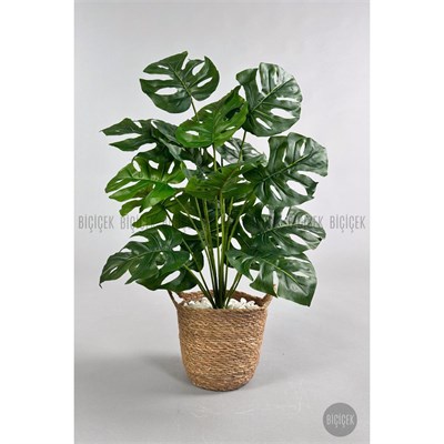 Biçiçek Yapay Monstera Deve Tabanı 65-70 Cm Hasir2