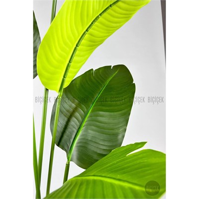 Biçiçek Yapay Muz Ağacı 145-185 Cm Beyaz1