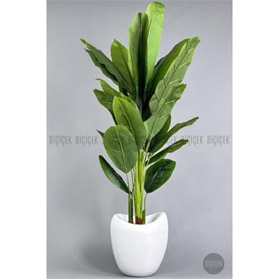 Biçiçek Yapay Muz Ağacı 185-220 Cm Beyaz