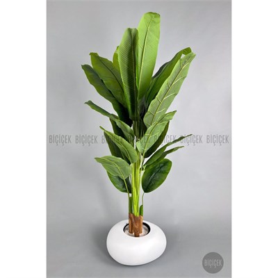 Biçiçek Yapay Muz Ağacı 185-220 Cm Beyaz1