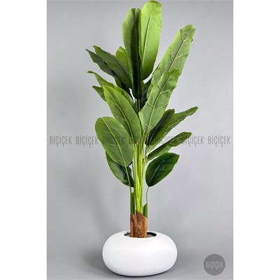 Biçiçek Yapay Muz Ağacı 185-220 Cm Beyaz1