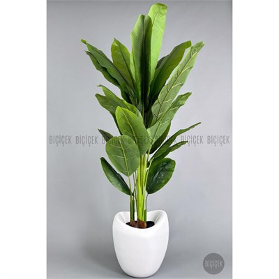 Biçiçek Yapay Muz Ağacı 185-220 Cm Beyaz
