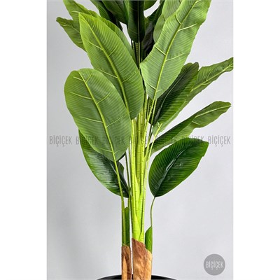 Biçiçek Yapay Muz Ağacı 185-220 Cm Siyah1