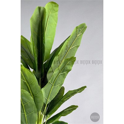 Biçiçek Yapay Muz Ağacı 185-220 Cm Siyah