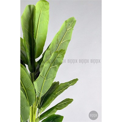 Biçiçek Yapay Muz Ağacı 185-220 Cm Siyah1