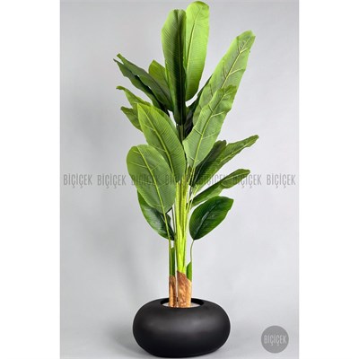 Biçiçek Yapay Muz Ağacı 185-220 Cm Siyah1