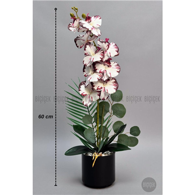 Biçiçek Yapay Phalaenopsis Orkide Buyuk Boy