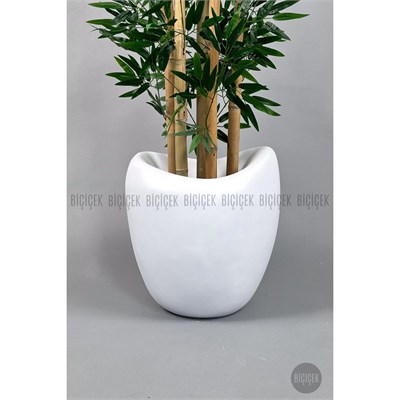 Biçiçek Zen Bambu Ağacı 220-240 Cm Fiber Saksıda Beyazfiber2