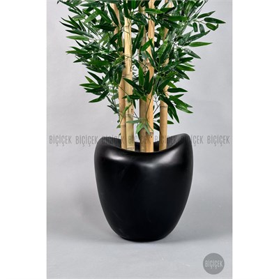 Biçiçek Zen Bambu Ağacı 220-240 Cm Fiber Saksıda Siyahfiber2