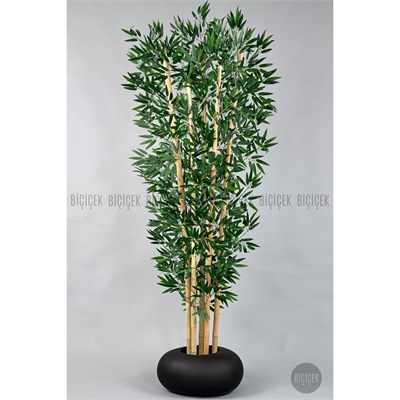 Biçiçek Zen Bambu Ağacı 220-240 Cm Fiber Saksıda Siyahfiber1