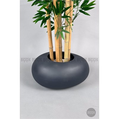 Biçiçek Zen Bambu Ağacı 220-240 Cm Fiber Saksıda Grifiber1