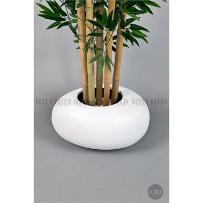 Biçiçek Zen Bambu Ağacı 220-240 Cm Fiber Saksıda Beyazfiber1