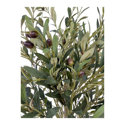 Biçiçek Zeytin Ağacı 100 Cm Hasır Bohem2 Saksıda