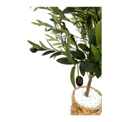 Biçiçek Zeytin Ağacı 100 Cm Hasır Bohem1 Saksıda