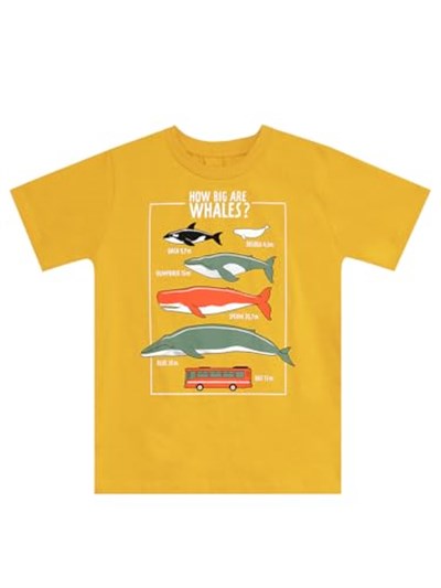 Big Whales Erkek Çocuk T-shirt Kapri Takım