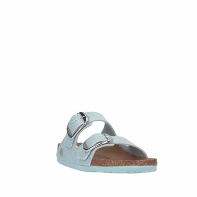 BIRKENSTOCK Kadınlar için terlik, yeşil, Yeşil., 38 EU Schmal