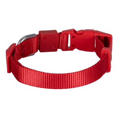 Bloominbag Swissplus Urban Paws Köpek Tasması – Crimson Red | Ayarlanabilir, Dayanıklı, Hafif-25mm