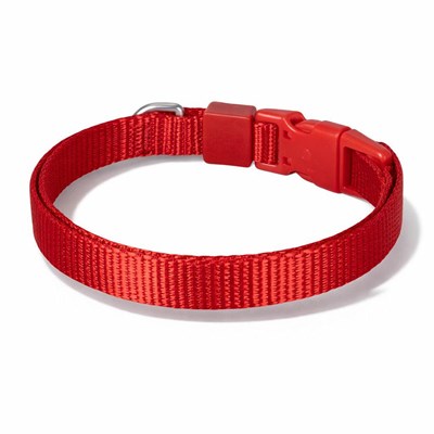 Bloominbag Swissplus Urban Paws Köpek Tasması – Crimson Red | Ayarlanabilir, Dayanıklı, Hafif-10mm