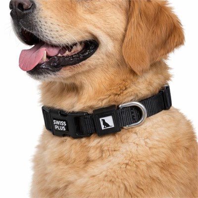 Bloominbag Swissplus Urban Paws Köpek Tasması – Noir Black | Ayarlanabilir, Dayanıklı, Hafif-15mm