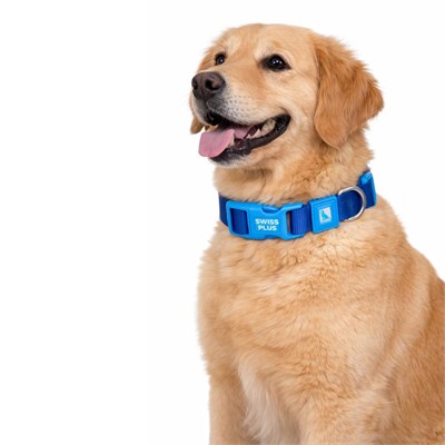 Bloominbag Swissplus Urban Paws Köpek Tasması – Deep Ocean Blue | Ayarlanabilir, Dayanıklı, Hafif-25mm