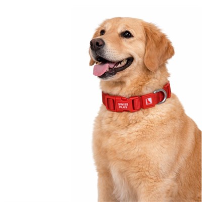 Bloominbag Swissplus Urban Paws Köpek Tasması – Crimson Red | Ayarlanabilir, Dayanıklı, Hafif-15mm