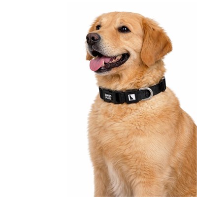Bloominbag Swissplus Urban Paws Köpek Tasması – Noir Black | Ayarlanabilir, Dayanıklı, Hafif-20mm