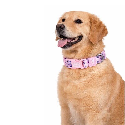 Bloominbag Swissplus Urban Paws Pink Leo Recycled Köpek Tasması - 10 Mm