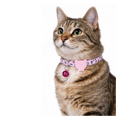 Bloominbag Swissplus Urban Paws Pink Leo Recycled Kedi Tasması - 10 Mm