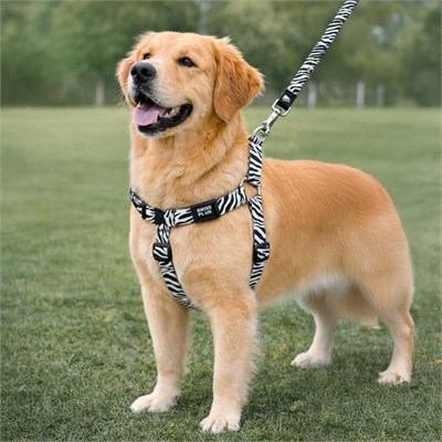 Bloominbag Swissplus Urban Paws Zebra Black Geri Dönüştürülmüş H-tipi Köpek Göğüs Tasması-s