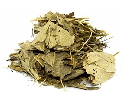 Botaniksan Aslan Pençesi (Testere Dişli) 40gr