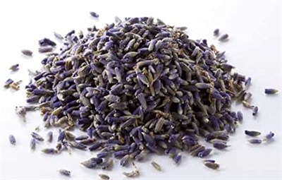 Botaniksan Karabaş Otu 40gr