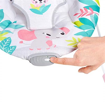 Bright Starts Flamingo Vibes 3 Noktalı Emniyet Kemeri Titreşimli Salyangoz ve Oyuncak Barı 0-6 Ay