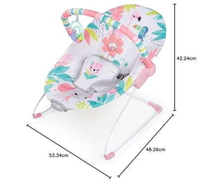 Bright Starts Flamingo Vibes 3 Noktalı Emniyet Kemeri Titreşimli Salyangoz ve Oyuncak Barı 0-6 Ay