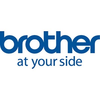 Brother Ordnerregister-etiket, (kağıt) Beyaz, 17 x 87 mm, 300ST./Rulo