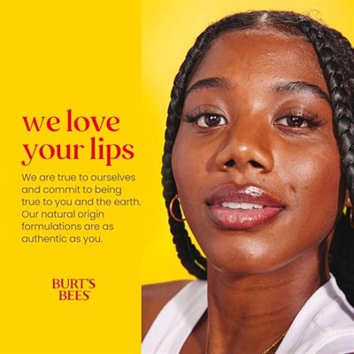 Burts Bees Beeswax Lip Balm 2li