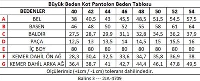 Büyük Beden Kadın Jean Gri
