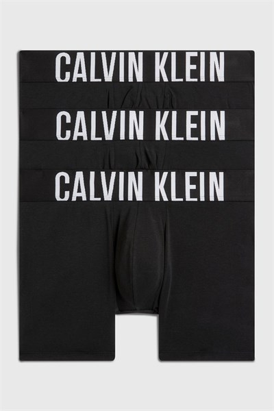 Calvin Klein BOXER BRIEF 3PK Boxer Erkek