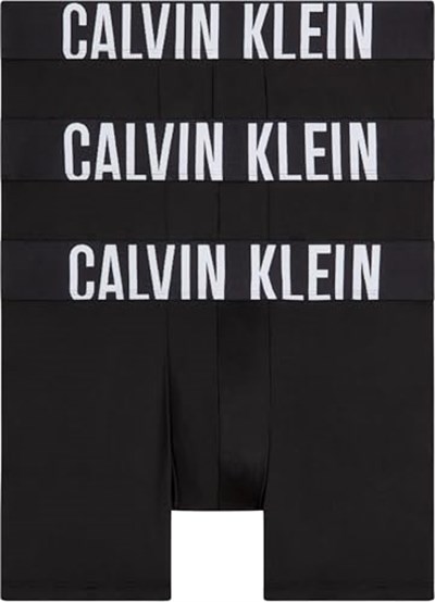 Calvin Klein BOXER BRIEF 3PK Boxer Erkek