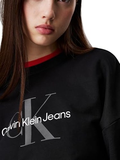 Calvin Klein Sweatshirt, LV047B234GUB1