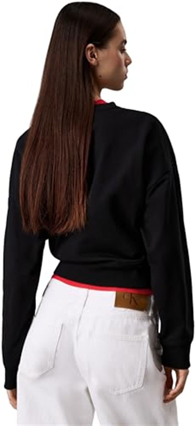 Calvin Klein Sweatshirt, LV047B234GUB1