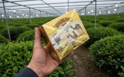 CAMELON Bardak Poşet Çay 100Lu 200 G (1)