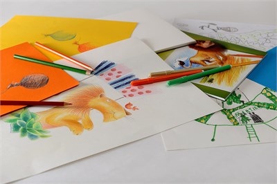 Canson 400015583 Hobi, çizim kağıdı, A4, beyaz