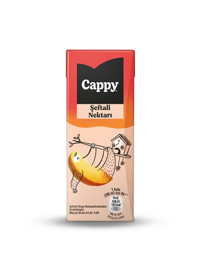 Cappy Şeftali Nektarı Karton Kutu 27x200 ml
