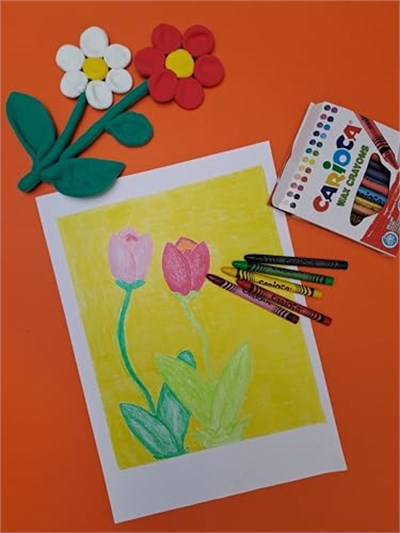 Carioca Wax Maxı Yıkanabilir Pastel Boya Kalemi 50Li