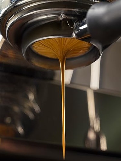 Cartapani 1951 Excelsor Çekirdek Kahve 1000gr