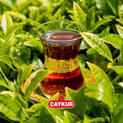 Çaykur Rize Turist Çayı 2000g