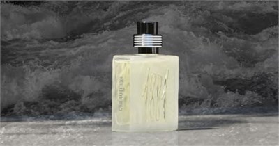 Cerruti-1881 Erkek EDT, 1 paket sprey dökün (1 x 100 ml)