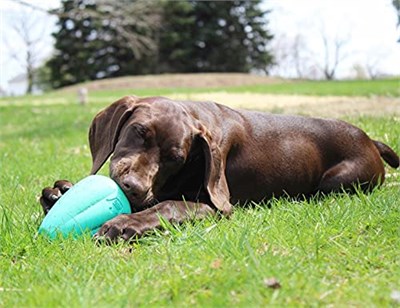 Chew King Premium Treat Köpek Oyuncağı, XL, Son Derece Dayanıklı, Doğal Kauçuk Oyuncak, 2li Paket - Seçenekler: X-Large - 2 paket, X-Large Pastırma Aromalı - 1 Paket...