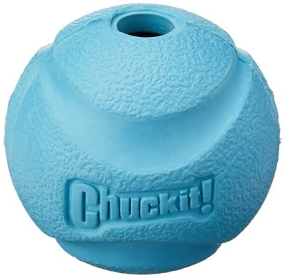 Chuckit! Fetch Ball Köpek Oyun Topu (Büyük Boy)